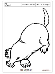 Köstebek boyama sayfaları